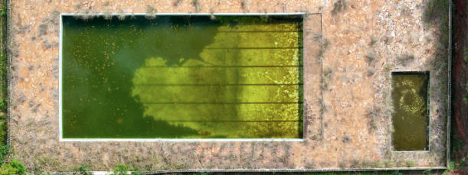 Emergency Pool Cleanup: What to Do When Your Pool Goes Green Overnight